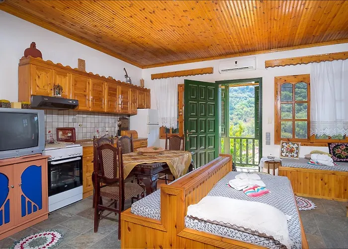 Polina House